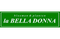 Bloemen La Bella Donna - Planten Heist-op-den-Berg