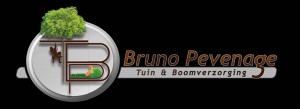 Logo Bruno Pevenage - Idegem
