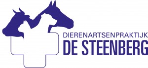 Logo DAP De Steenberg - Bekkevoort