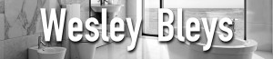 Logo Wesley Bleys - Aartselaar