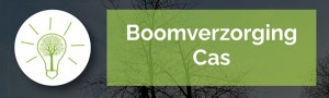 Logo Boomverzorging Cas - Deurne