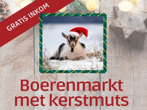 Boerenmarkt met kerstmuts